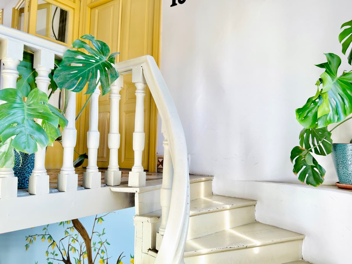 Interior of Avenue Hotel, Girne