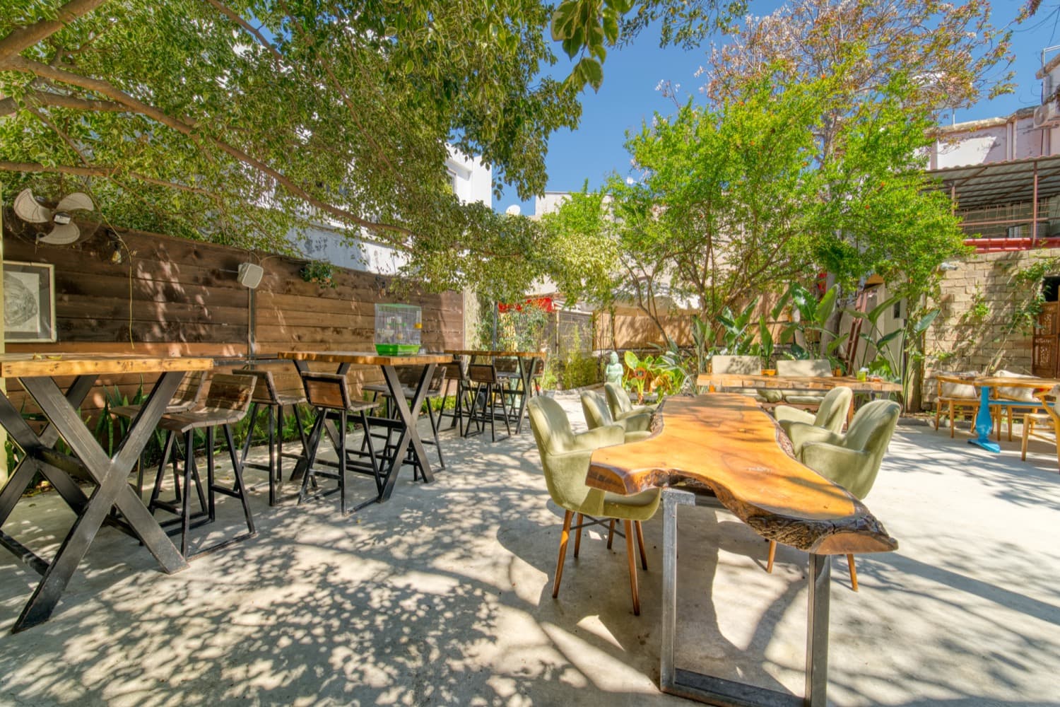 The garden at Avenue Hotel